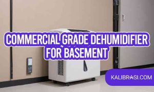 commercial grade dehumidifier for basement