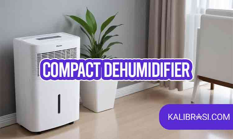 compact dehumidifier