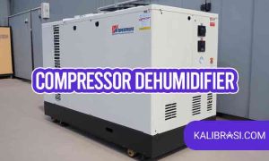 compressor dehumidifier