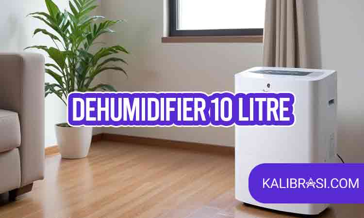dehumidifier 10 litre