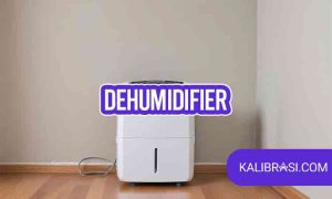 dehumidifier