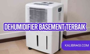 dehumidifier basement terbaik