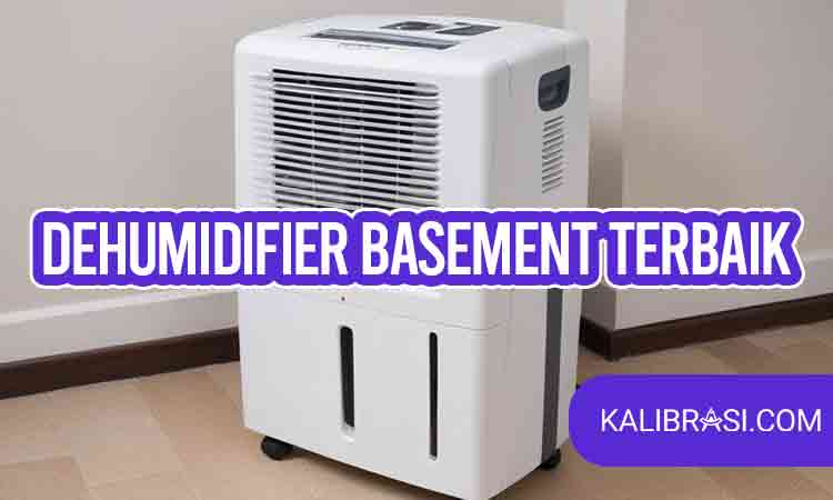 dehumidifier basement terbaik