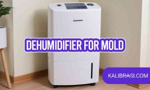 dehumidifier for mold