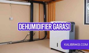 dehumidifier garasi