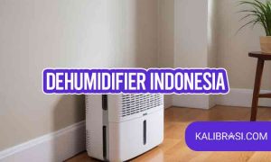 dehumidifier indonesia