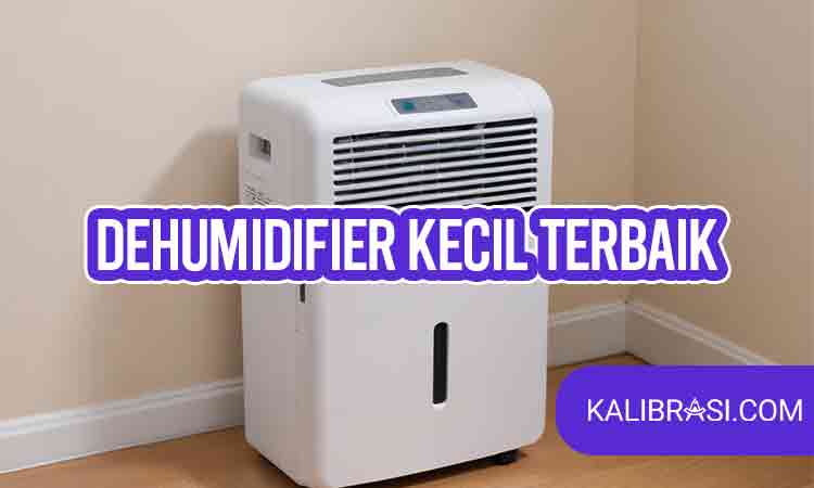 dehumidifier kecil terbaik