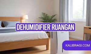 dehumidifier ruangan