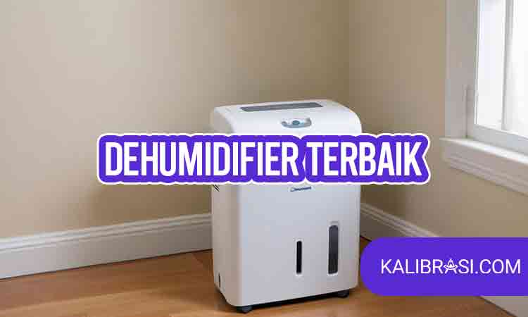 dehumidifier terbaik