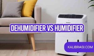 dehumidifier vs humidifier