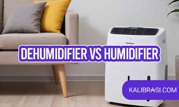 dehumidifier vs humidifier