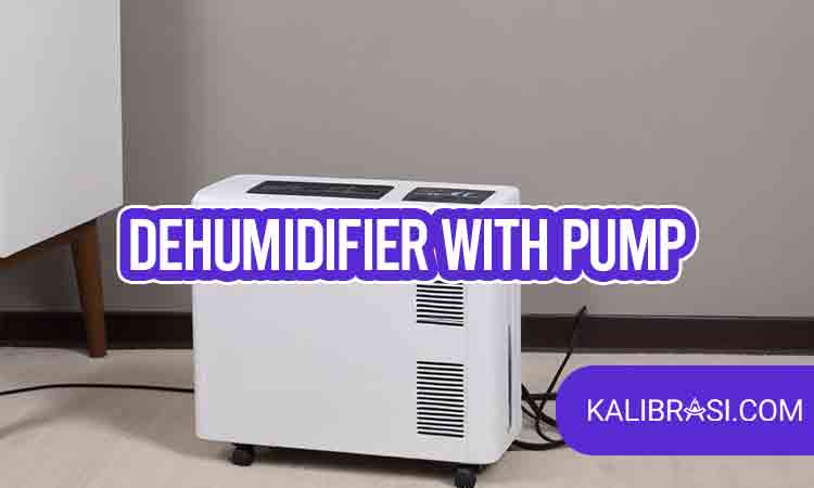 dehumidifier with pump