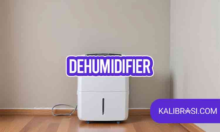dehumidifier