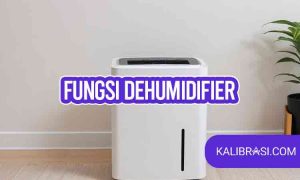 fungsi dehumidifier