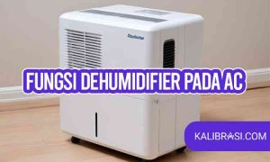 fungsi dehumidifier pada ac