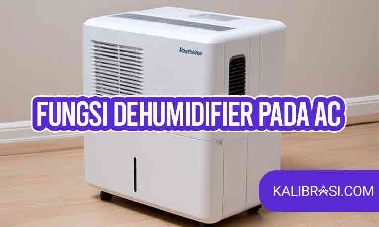 fungsi dehumidifier pada ac
