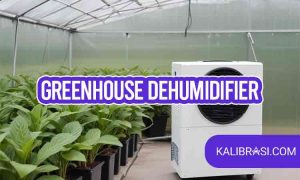 greenhouse dehumidifier