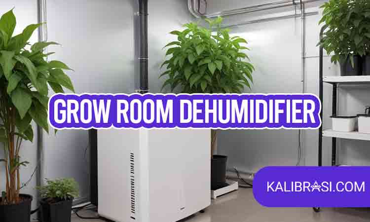 grow room dehumidifier