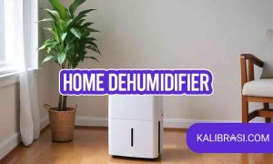 home dehumidifier