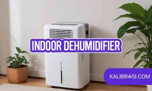 indoor dehumidifier
