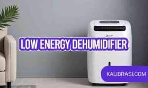 low energy dehumidifier