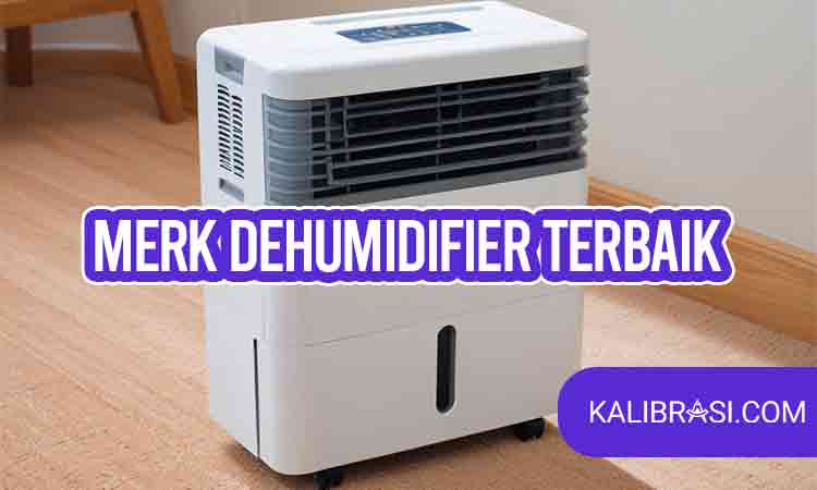 merk dehumidifier terbaik