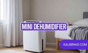mini dehumidifier