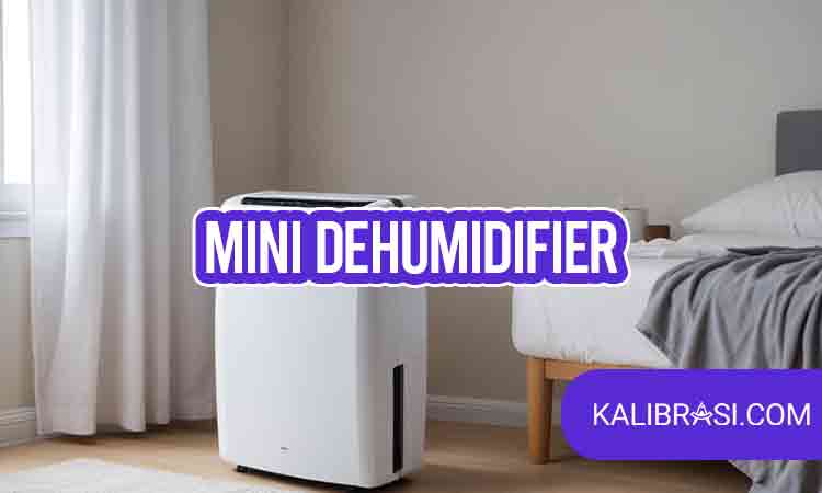 mini dehumidifier