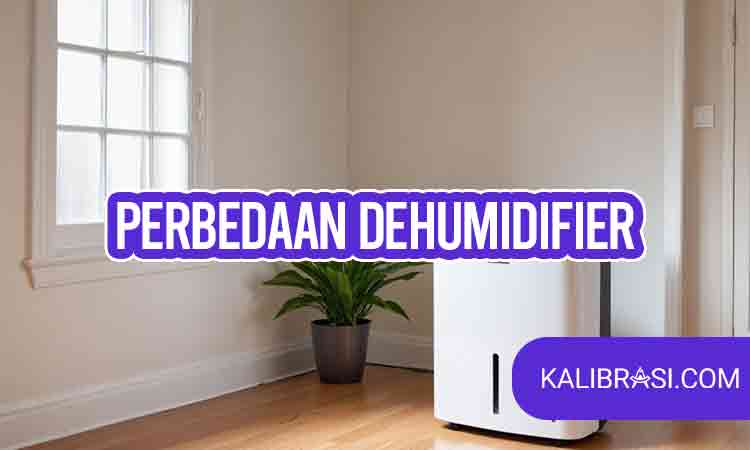 perbedaan dehumidifier
