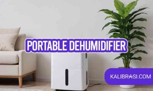 portable dehumidifier