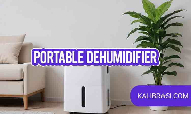 portable dehumidifier