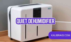 quiet dehumidifier