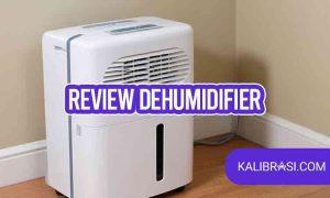 review dehumidifier