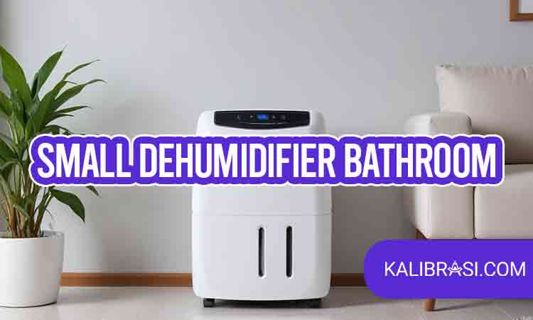 small dehumidifier bathroom