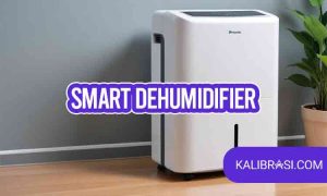 smart dehumidifier