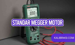 standar megger motor