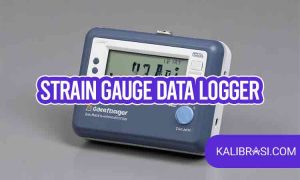 strain gauge data logger