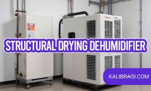 structural drying dehumidifier