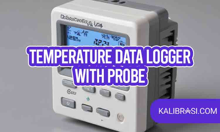 temperature data logger with probe