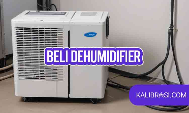 beli dehumidifier