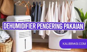 dehumidifier pengering pakaian