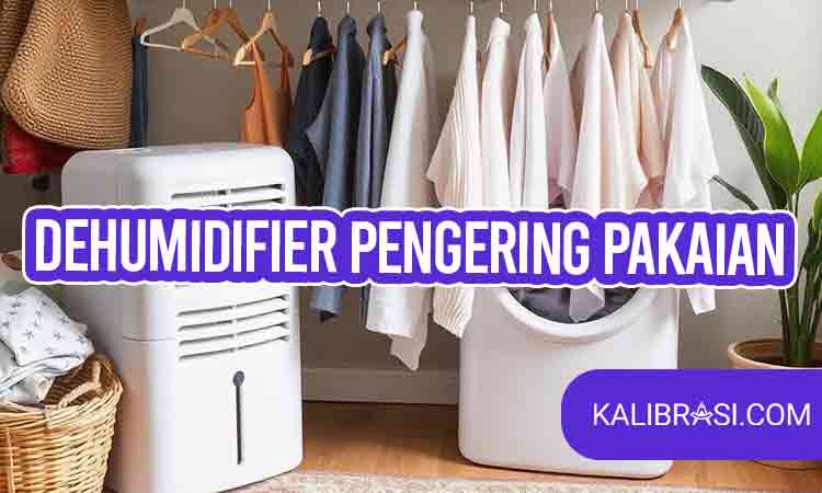 dehumidifier pengering pakaian