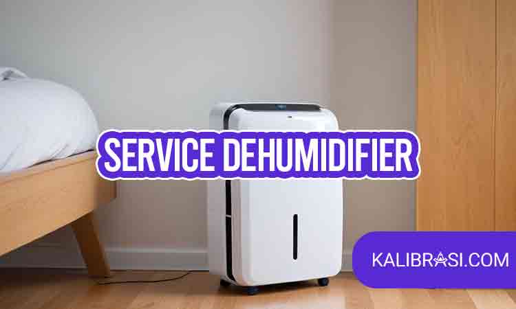 service dehumidifier